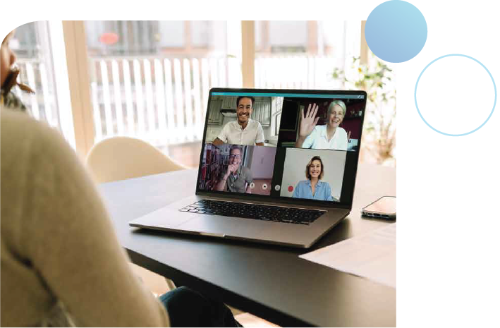 Pico_Website_Services_v1.2_Meetings